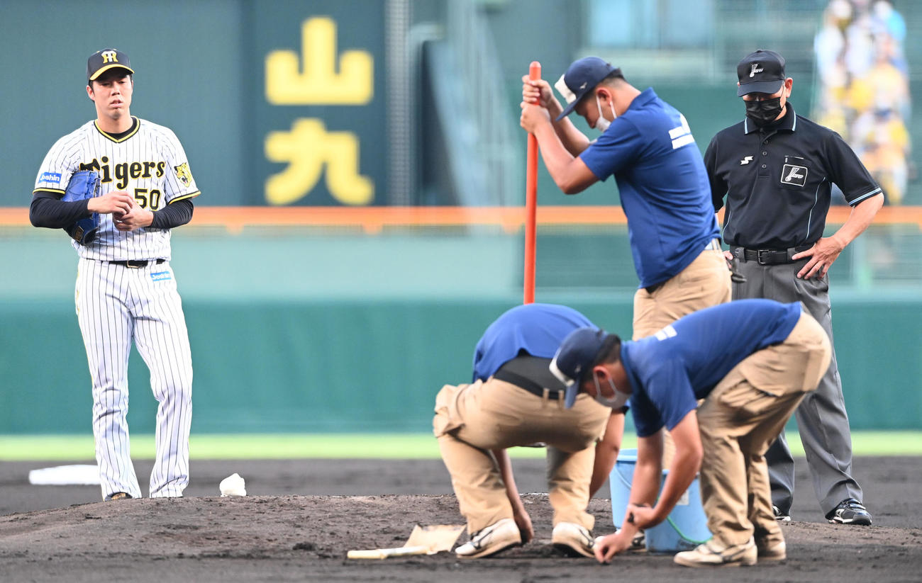 阪神対中日　2回、マウンドの整備を待つ青柳（撮影・前岡正明）