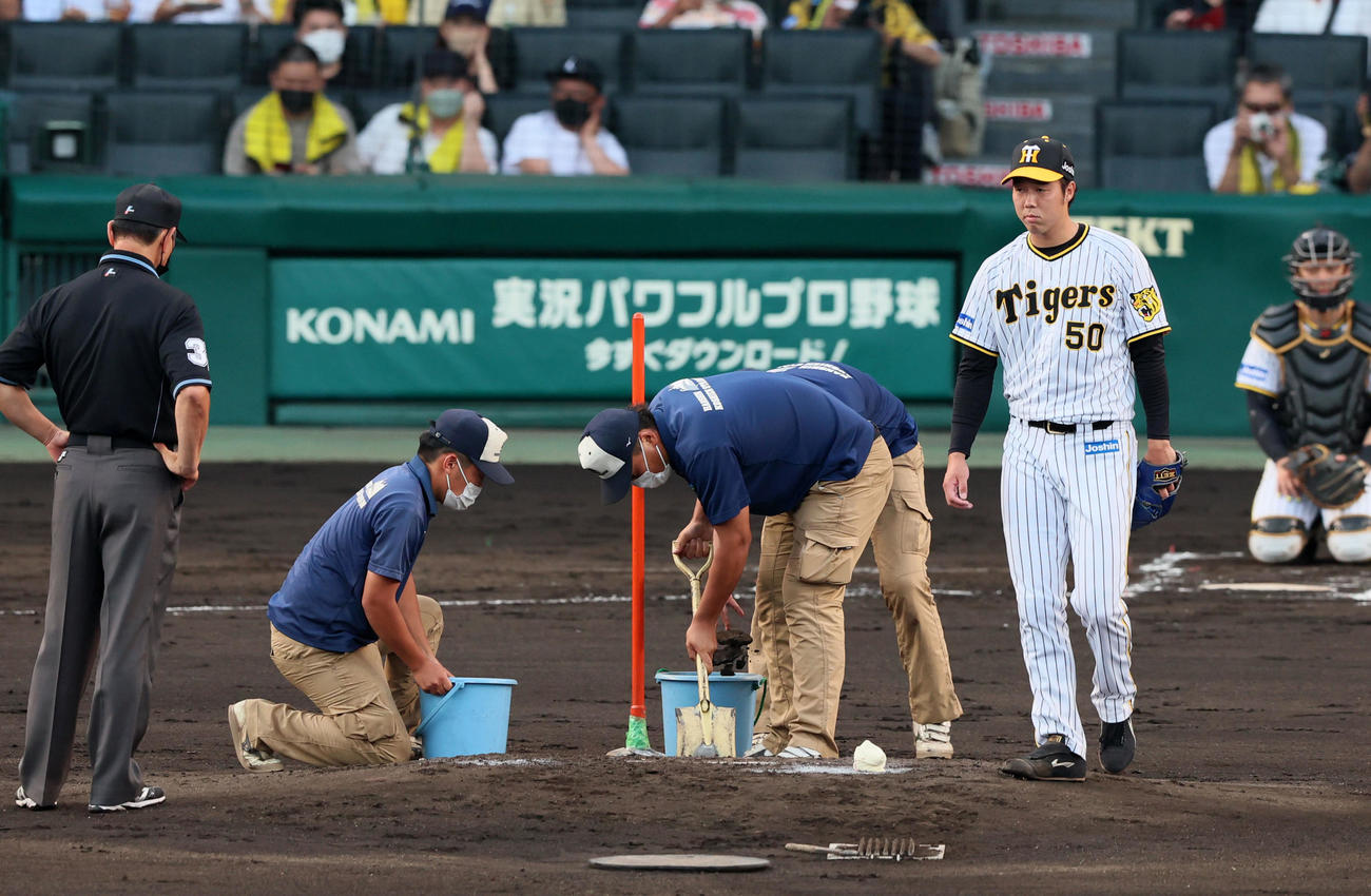阪神対中日　2回表中日1死、青柳は打者溝脇のときマウンドの不具合で整備が入る（撮影・加藤哉）