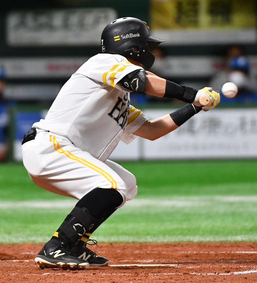 ソフトバンク対日本ハム　4回裏ソフトバンク無死一、二塁、中村晃は投犠打を成功させる（撮影・岩下翔太）