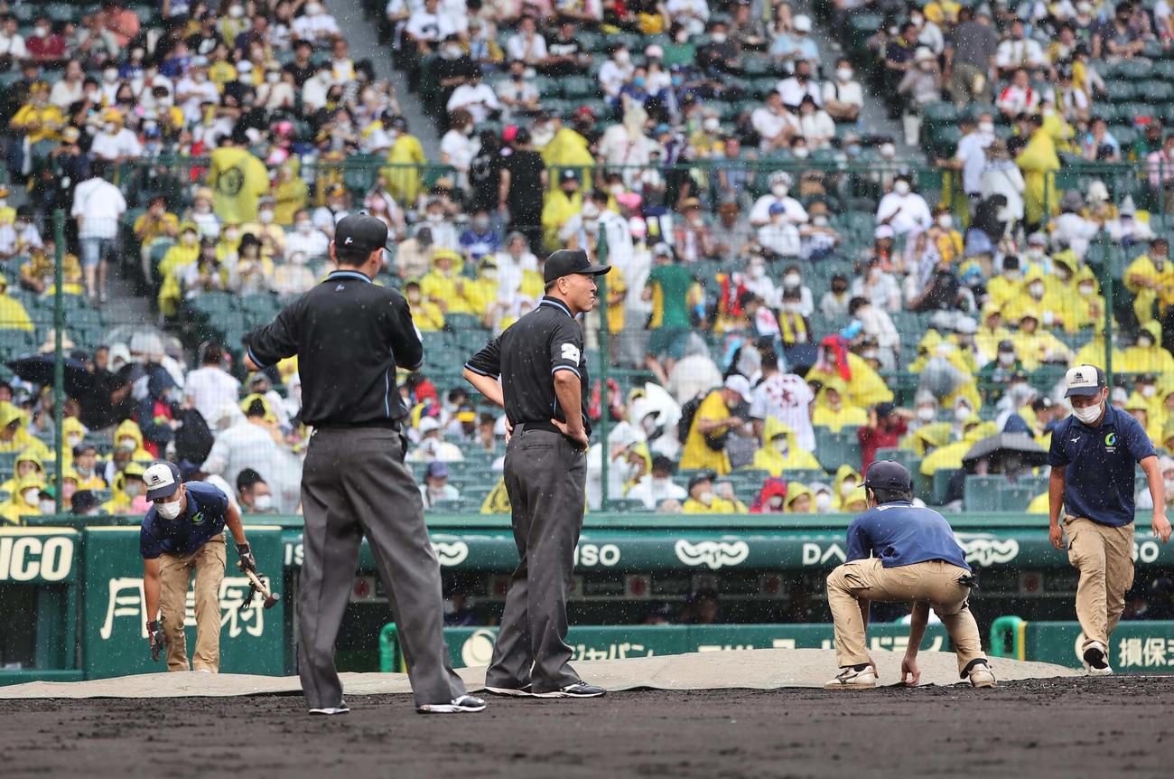 阪神対中日　2回途中で雨天のため中断となる（撮影・上田博志）