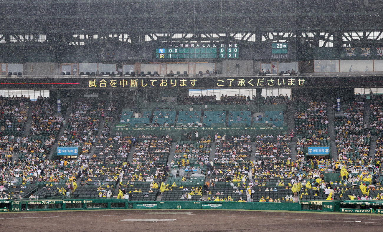 阪神対中日　2回表を終えたところで降雨中断の甲子園（撮影・加藤哉）