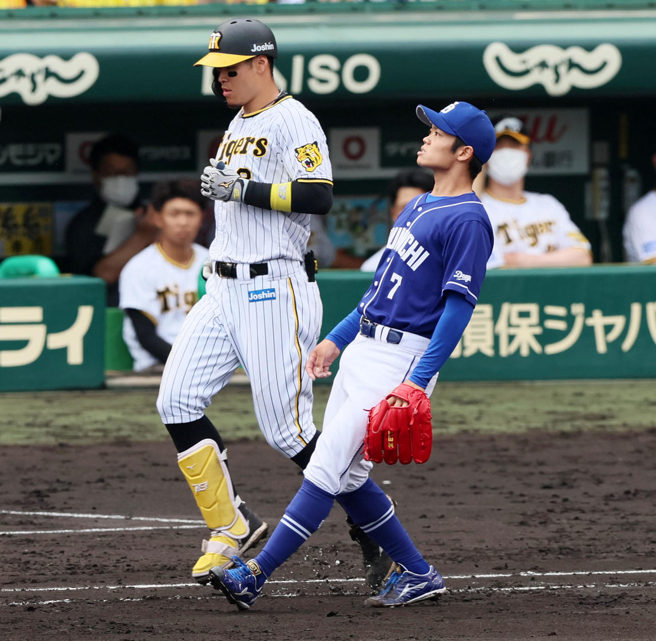 阪神対中日　6回裏阪神無死、根尾は佐藤輝を一ゴロに仕留める（撮影・加藤哉）