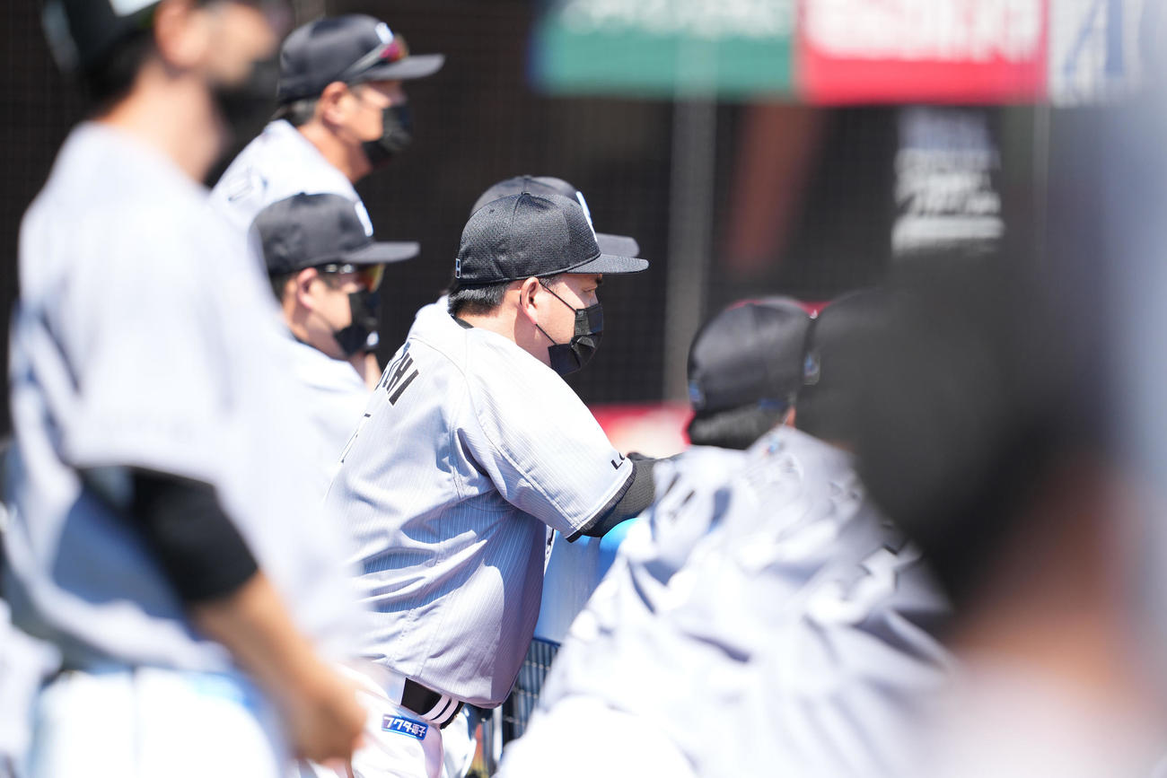ロッテ対オリックス　ベンチで浮かない表情のロッテ井口監督（撮影・鈴木みどり）