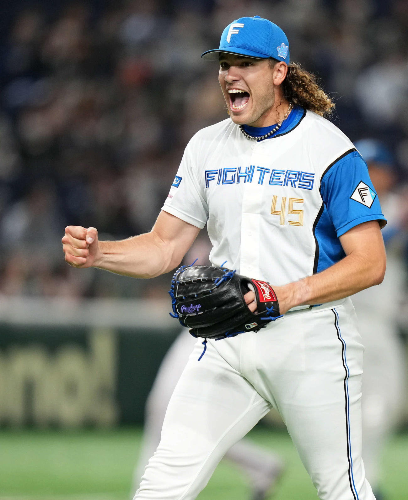 日本ハムポンセ（22年4月27日撮影）