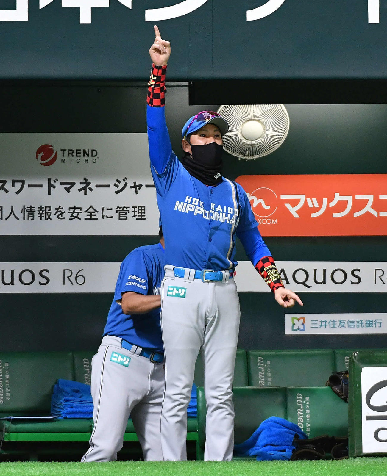 ソフトバンク対日本ハム　8回表日本ハム無死、上川畑が右中間へ同点本塁打を放ち、ベンチを飛び出して喜ぶ新庄監督（撮影・岩下翔太）
