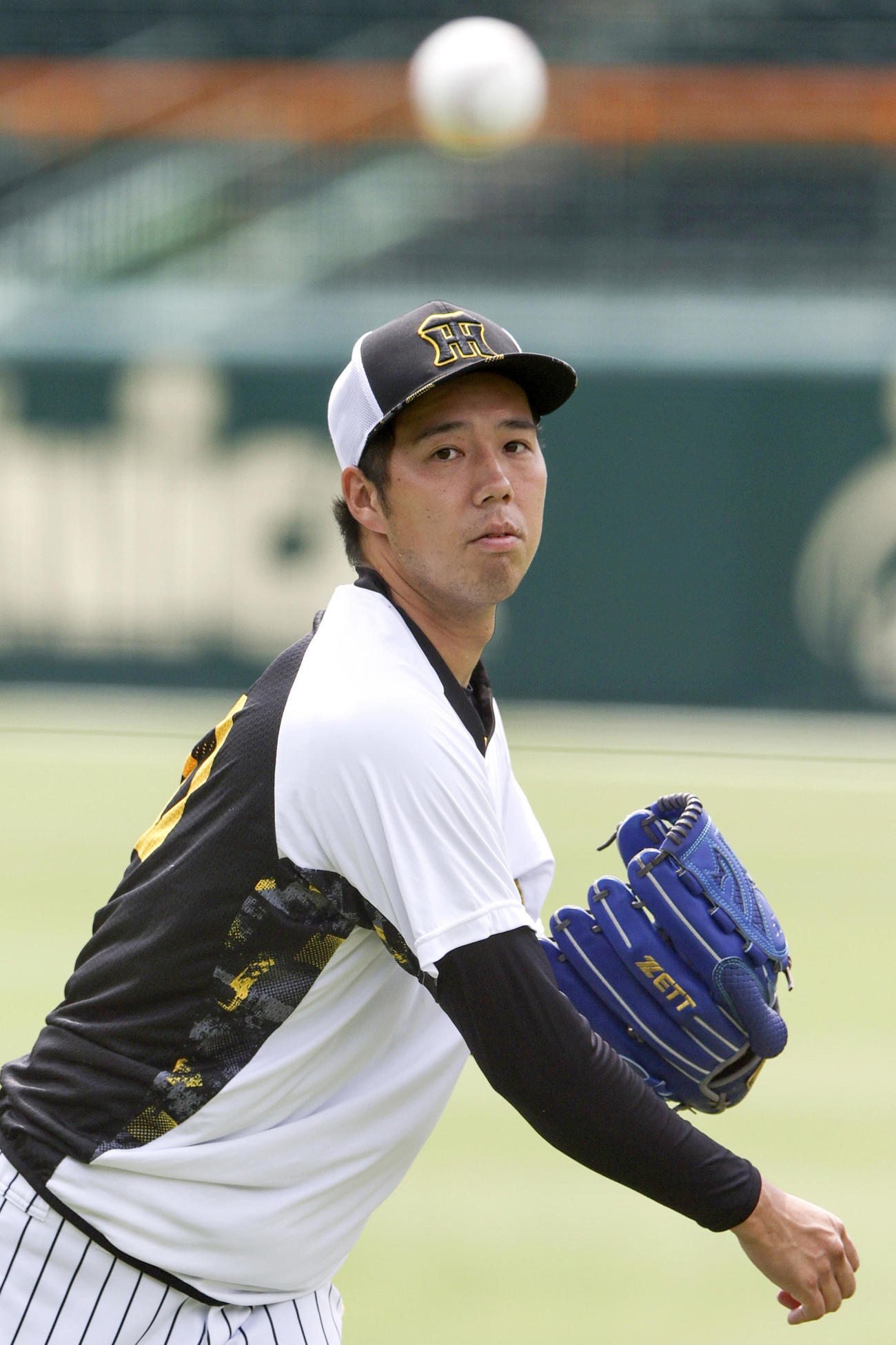 投手指名練習でキャッチボールする阪神青柳（撮影・上山淳一）
