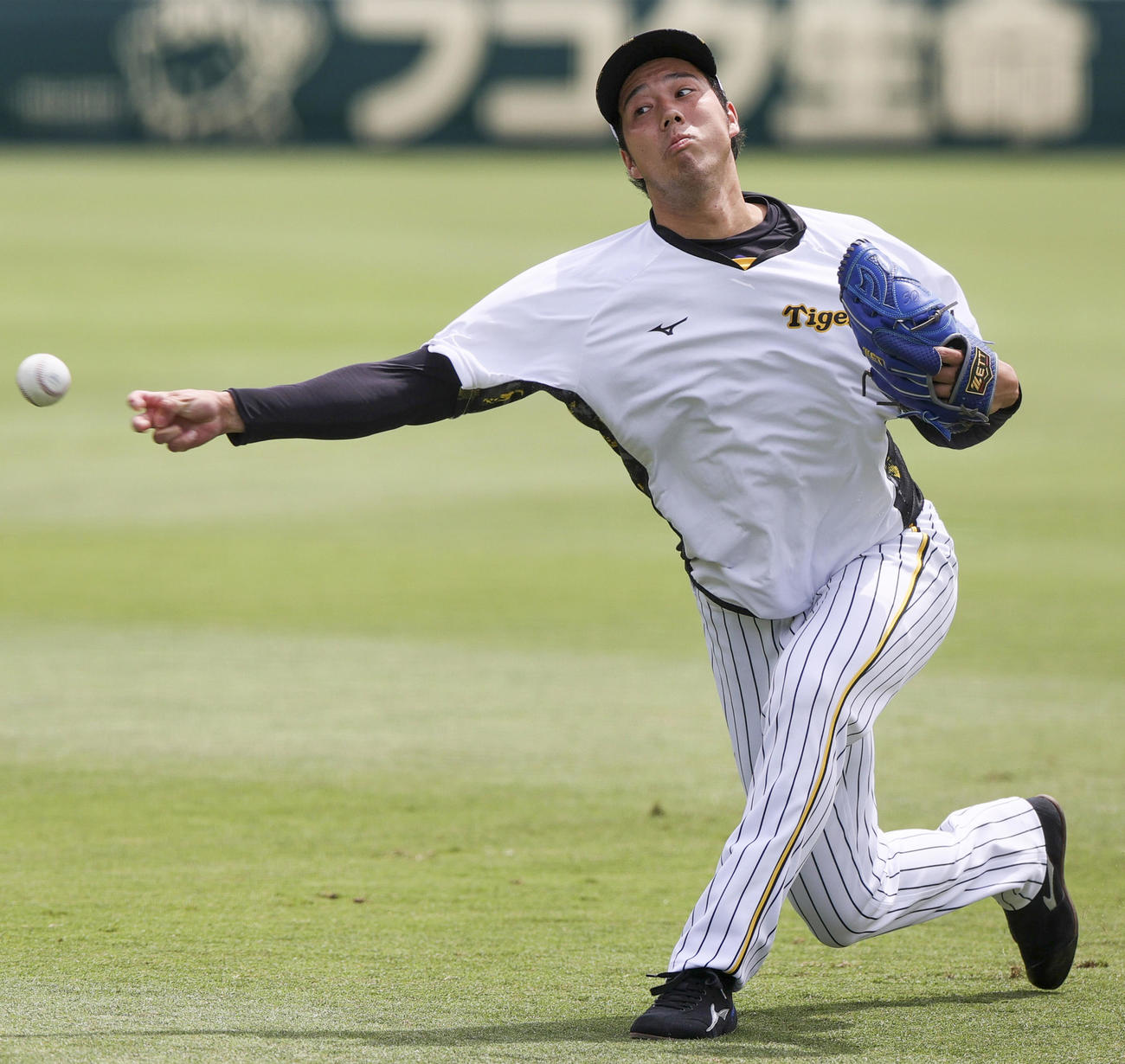 投手指名練習でキャッチボールする阪神青柳（撮影・上山淳一）