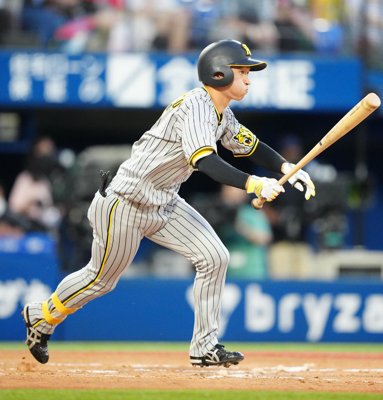 DeNA対阪神　3回表阪神2死一塁、右前打を放つ近本（撮影・江口和貴）