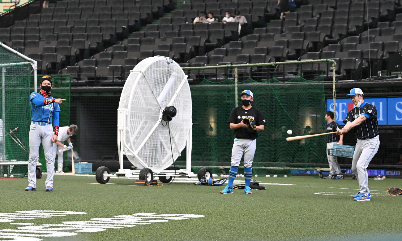西武対日本ハム　試合前練習でノックする日本ハム山田バッテリーコーチ（右）を指さす新庄監督（左）（撮影・滝沢徹郎）