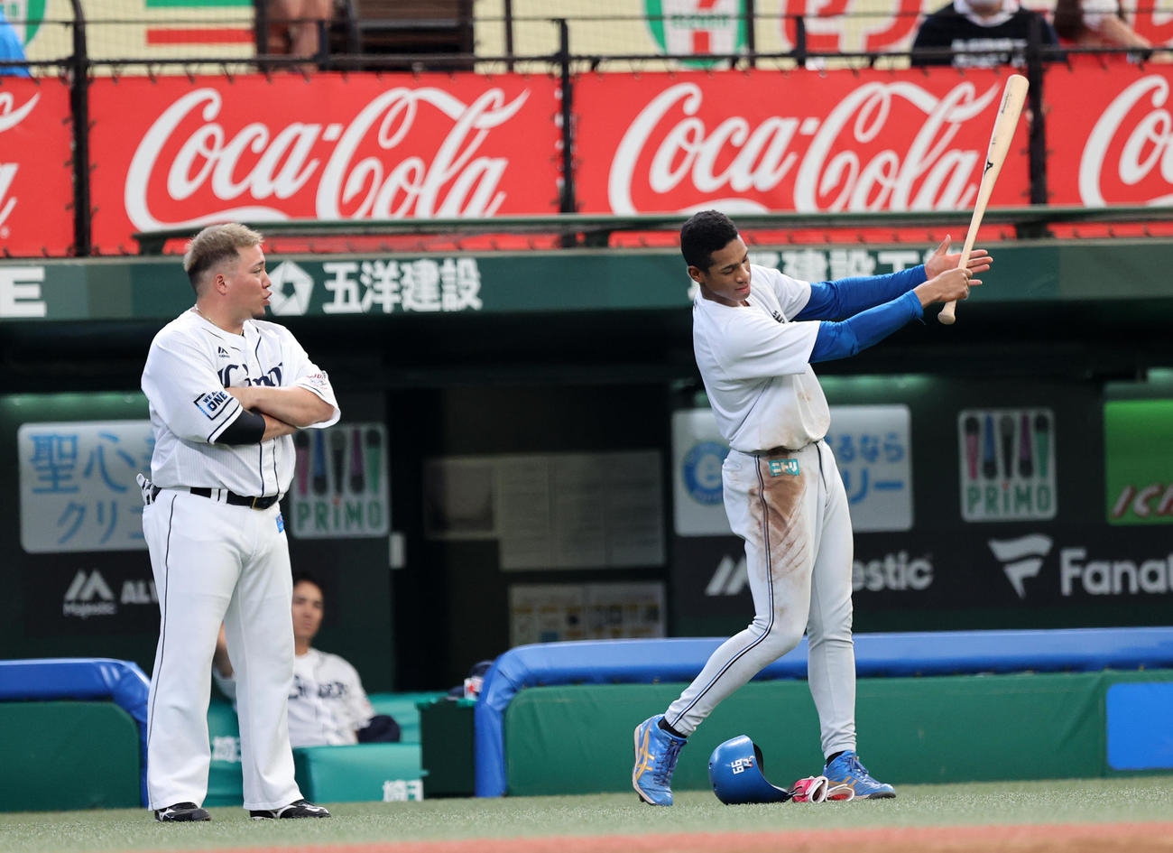 西武対日本ハム　試合前練習中、日本ハム万波（右）に打撃指導する西武山川（撮影・鈴木正人）