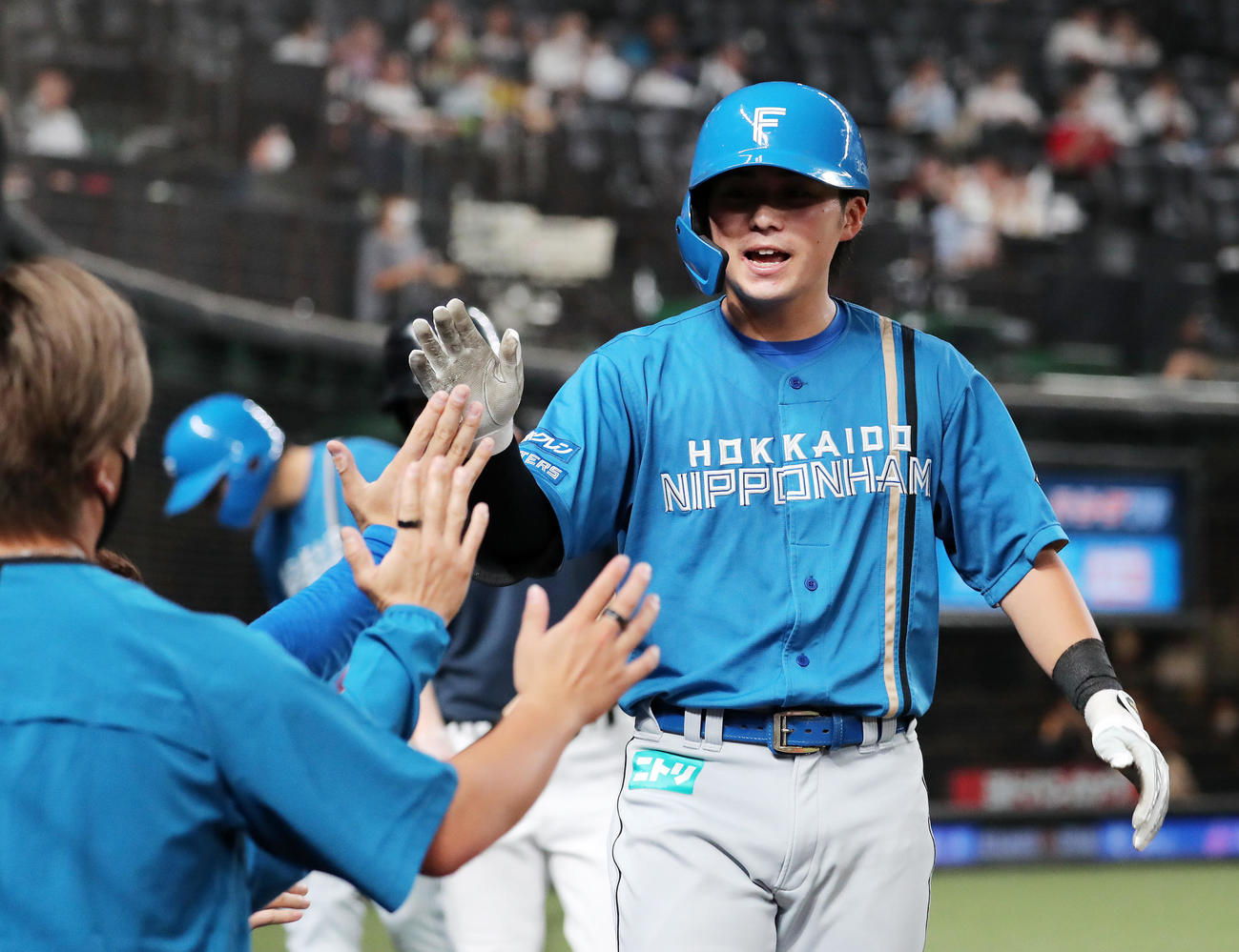 西武対日本ハム　9回表日本ハム1死、上川畑は右越え本塁打を放ちベンチ前でタッチ（撮影・鈴木正人）