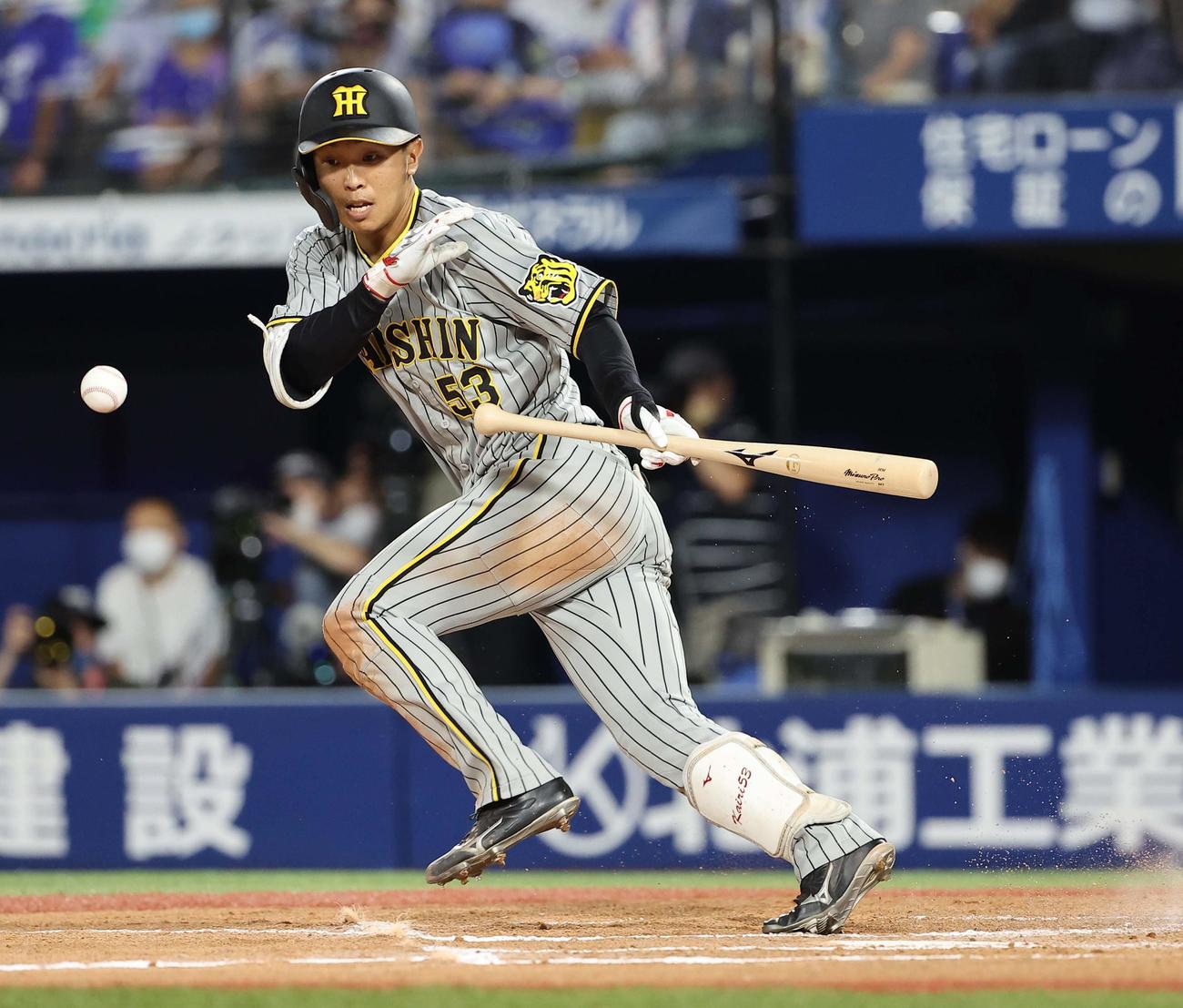 DeNA対阪神　7回表阪神2死、島田はセーフティーバントを決める（撮影・上田博志）