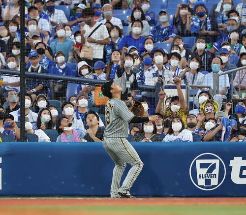DeNA対阪神　2回裏DeNA2死一、二塁、牧のファウルを追い客席に飛び込みそうになる大山（撮影・上田博志）