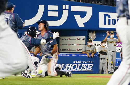 DeNA対阪神　9回裏、DeNA大田（手前左から3人目）のサヨナラ生還の判定にリクエストする矢野監督（後方右端）（撮影・江口和貴）