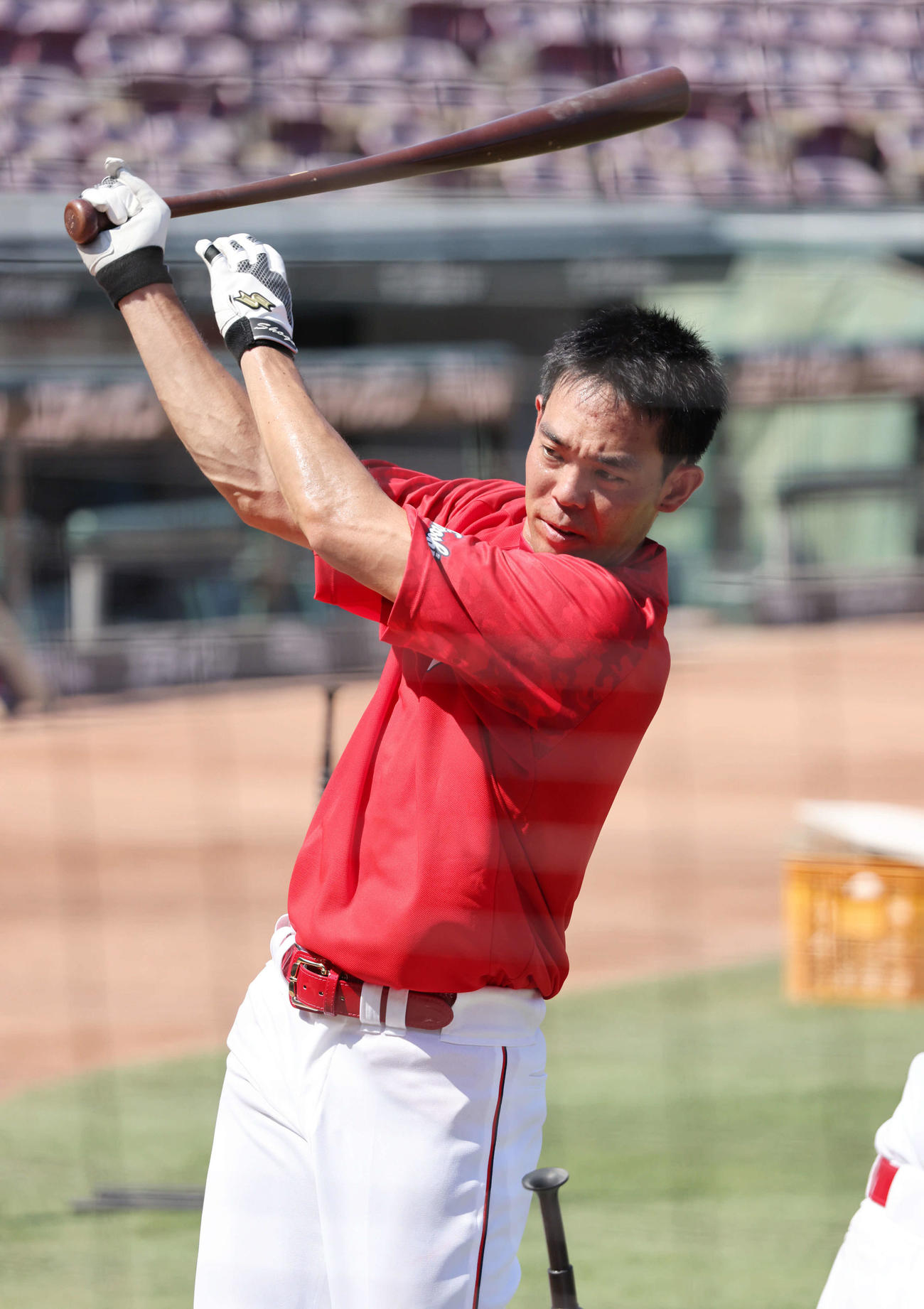 広島対ヤクルト　試合前練習でティー打撃練習をする秋山（撮影・加藤孝規）