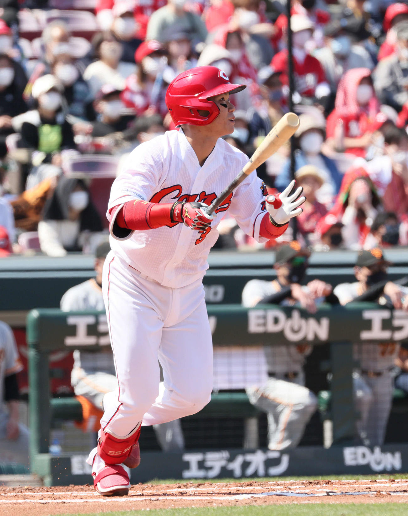 広島坂倉（22年5月3日撮影）