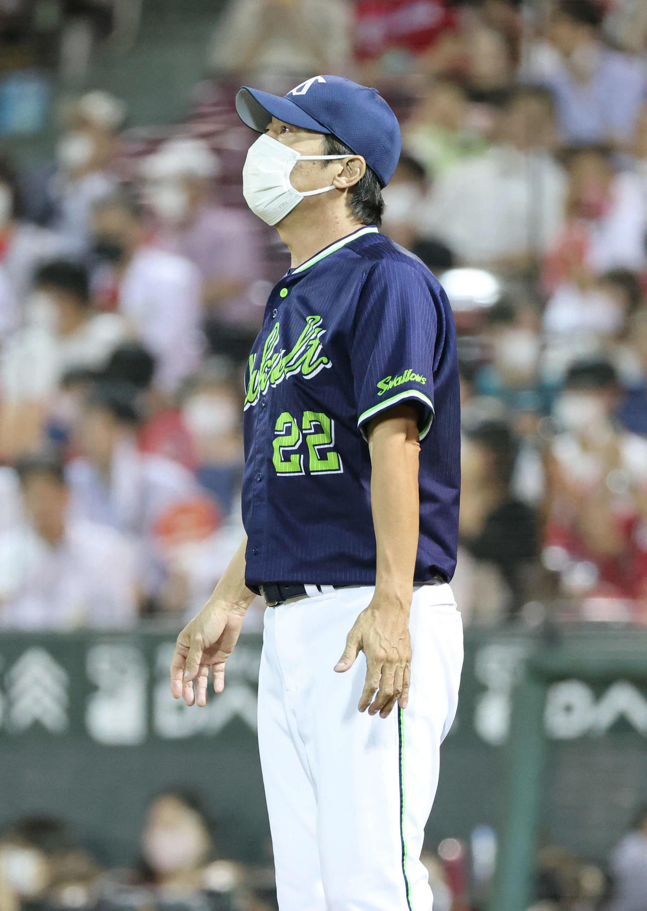 ヤクルト高津監督（撮影・加藤孝規）