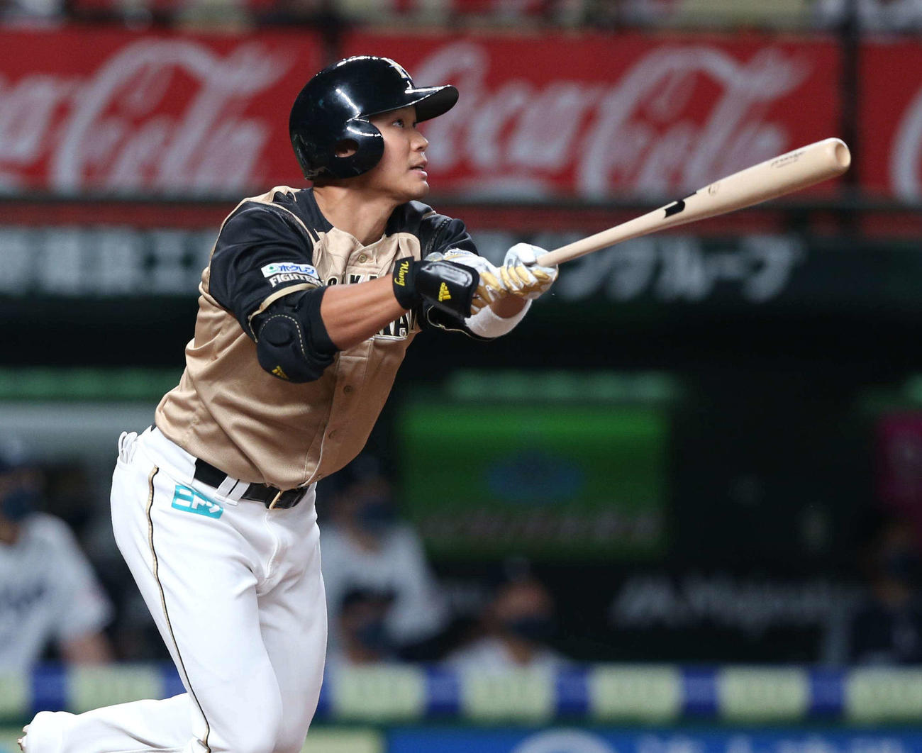 日本ハム王柏融（2021年9月15日撮影）