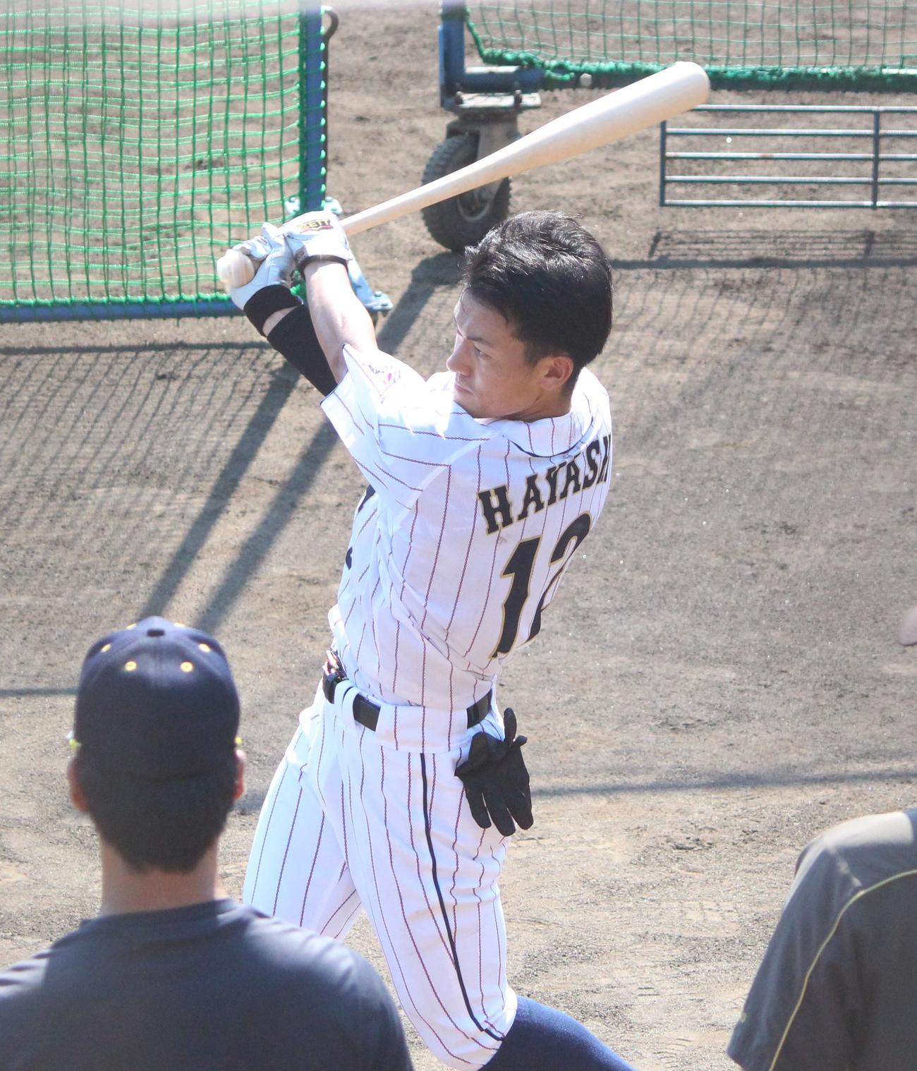 スイングスピードと打球速度を計測する大学日本代表・林内野手（撮影・保坂恭子）