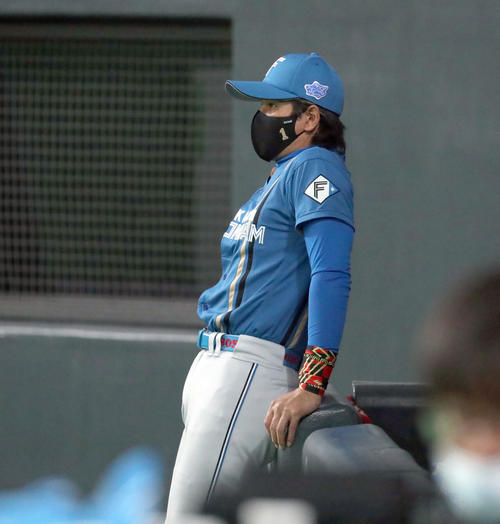 日本ハム対西武　グラウンドを見つめる新庄監督（撮影・佐藤翔太）