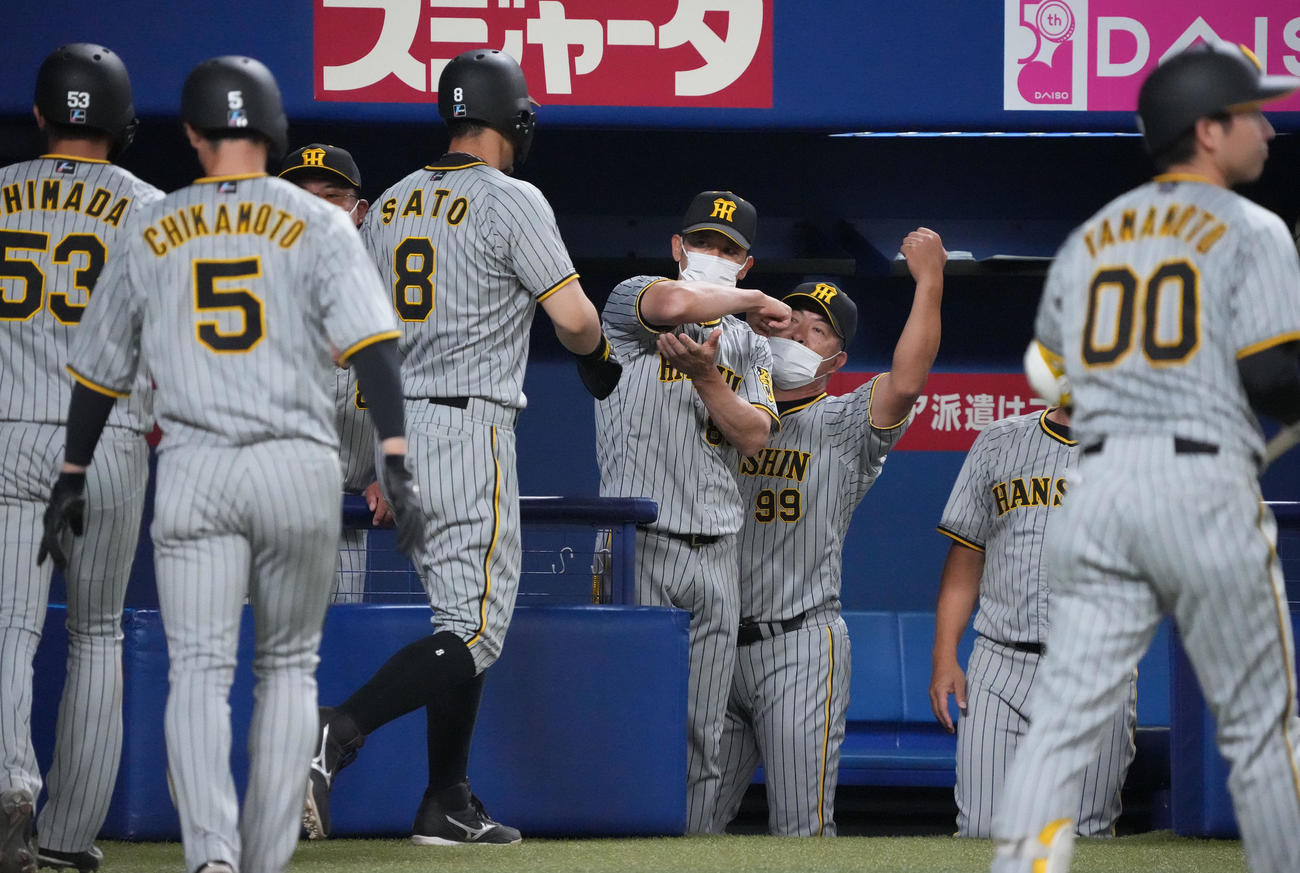 中日対阪神　3回表阪神2死満塁、大山の3点適時三塁打で生還した佐藤輝らを迎える矢野監督（中央）（撮影・森本幸一）