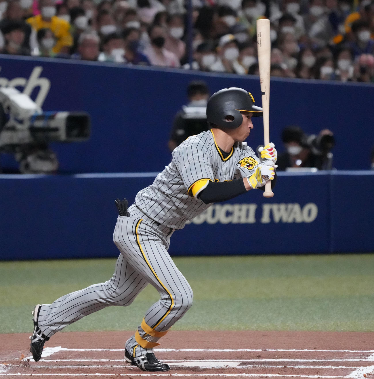 中日対阪神　6回表阪神2死、右前安打を放つ近本（撮影・森本幸一）