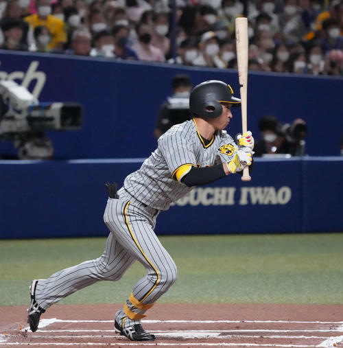 中日対阪神　6回表阪神2死、右前安打を放つ近本（撮影・森本幸一）