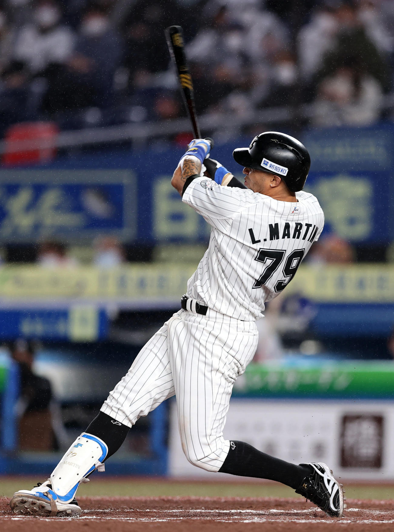 ロッテ・マーティン（2022年6月8日撮影）