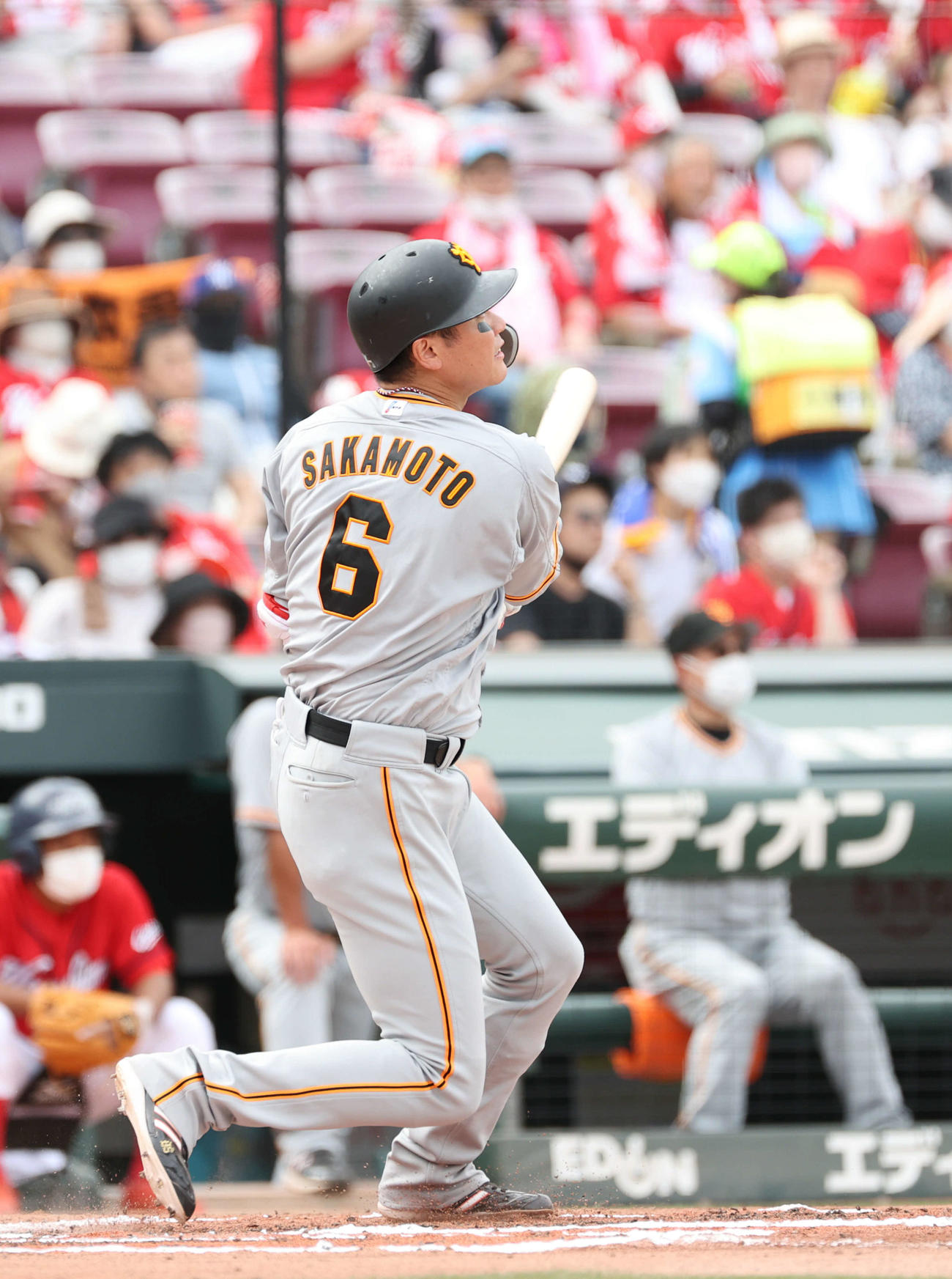広島対巨人　6回表巨人無死、坂本勇は左越え本塁打を放つ（撮影・加藤孝規）