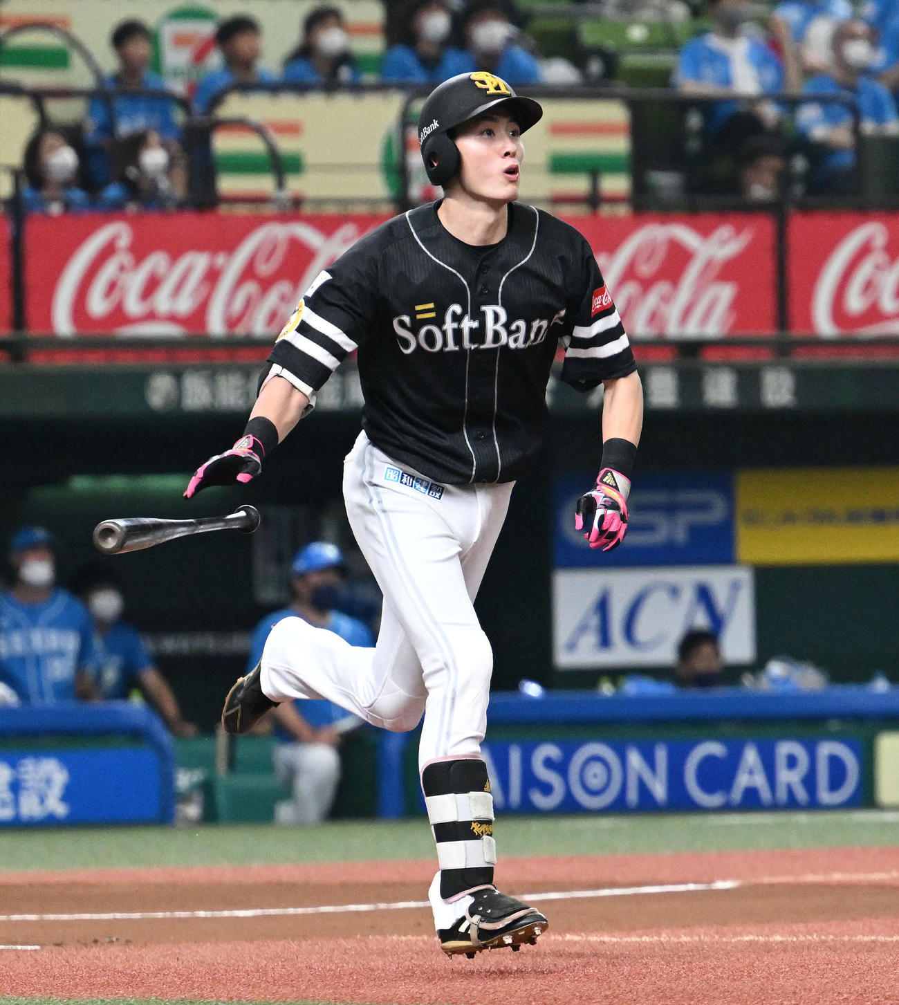 西武対ソフトバンク　1回表ソフトバンク1死、周東は先制の右越えソロ本塁打を放つ（撮影・滝沢徹郎）