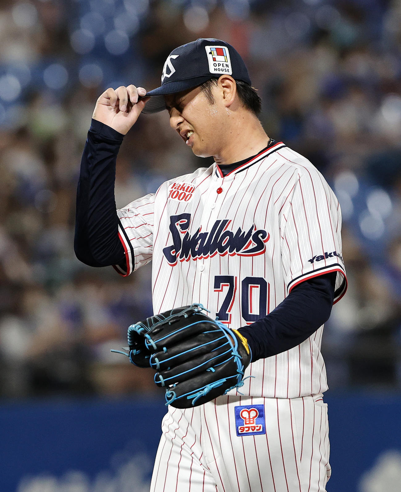 ヤクルト対DeNA 5回を投げきりベンチに引き揚げるヤクルト小沢（撮影・鈴木正人）