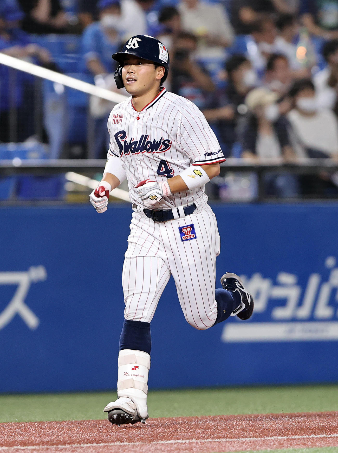 ヤクルト対DeNA 7回裏ヤクルト無死、丸山和は右越えソロ本塁打を放つ（撮影・鈴木正人）