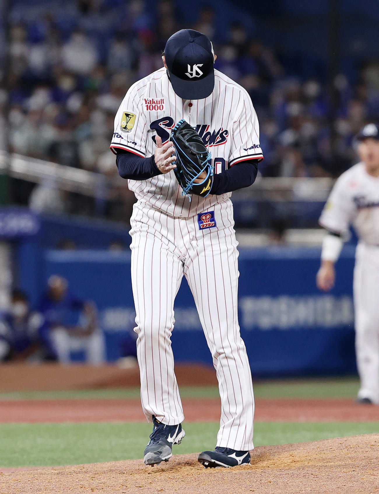 ヤクルト対DeNA 5回を投げきり手をたたくヤクルト小沢（撮影・鈴木正人）