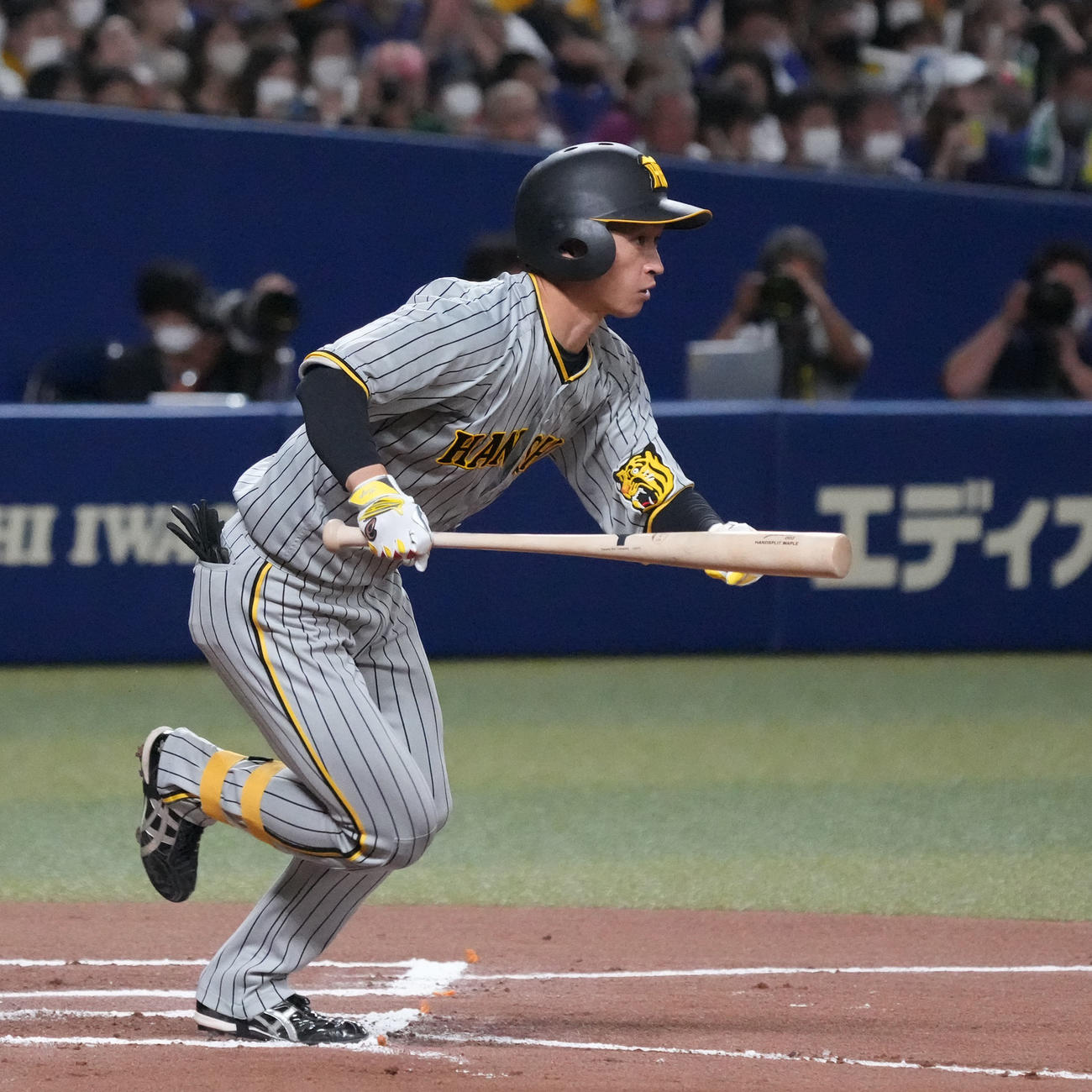 22年7月3日、中日対阪神　6回表阪神2死、右前安打を放つ近本光司