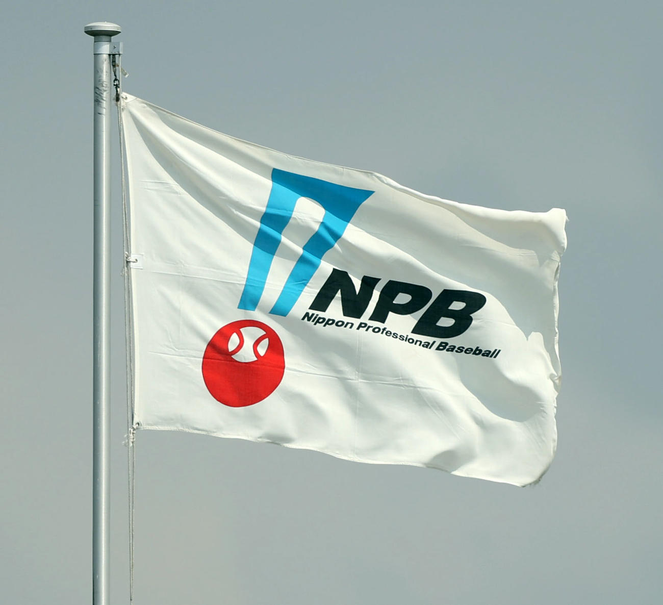 NPB旗（2021年6月23日撮影）