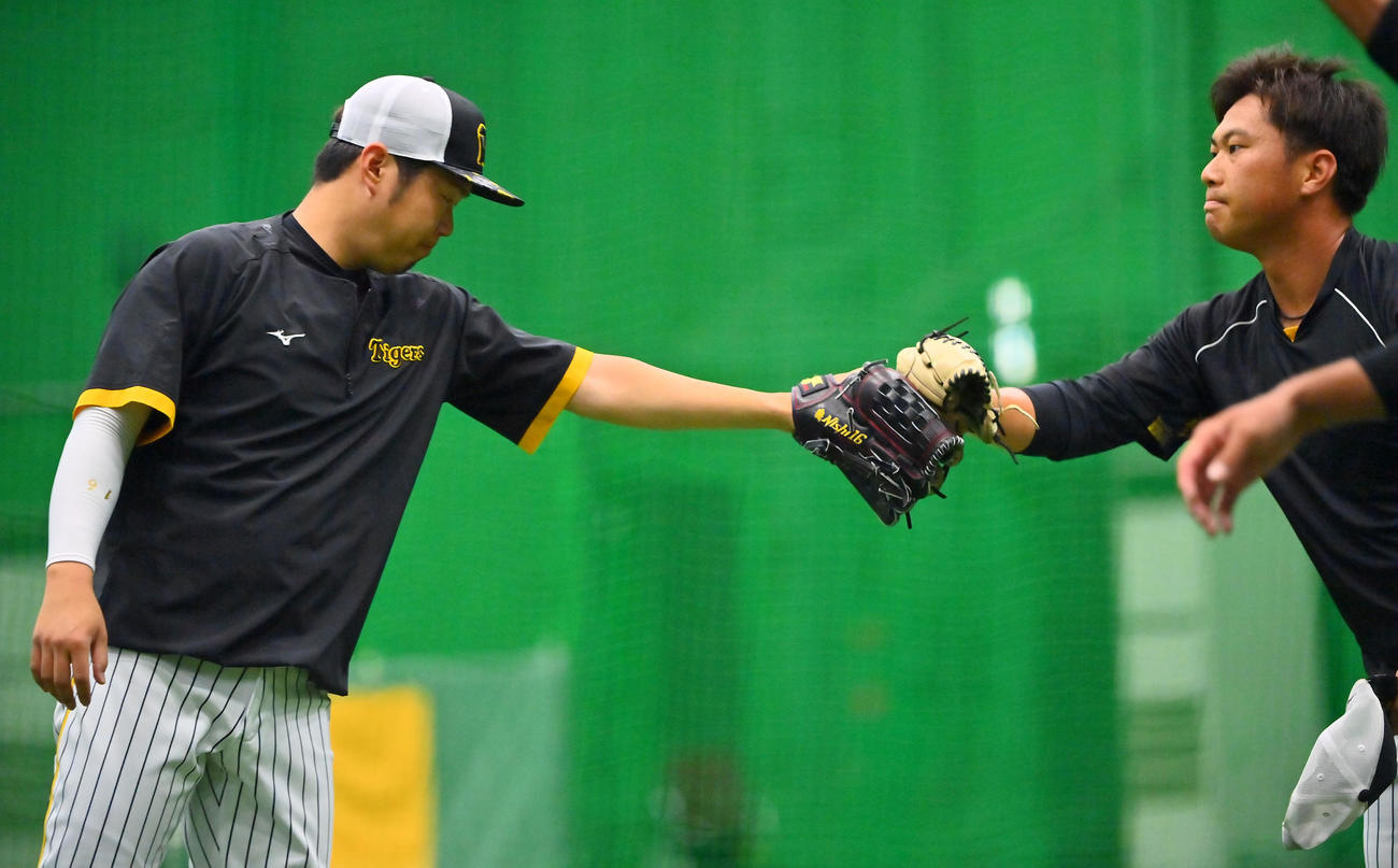 甲子園の室内練習場でキャッチボールを終え、グラブタッチする阪神西勇（左）と桐敷（撮影・和賀正仁）