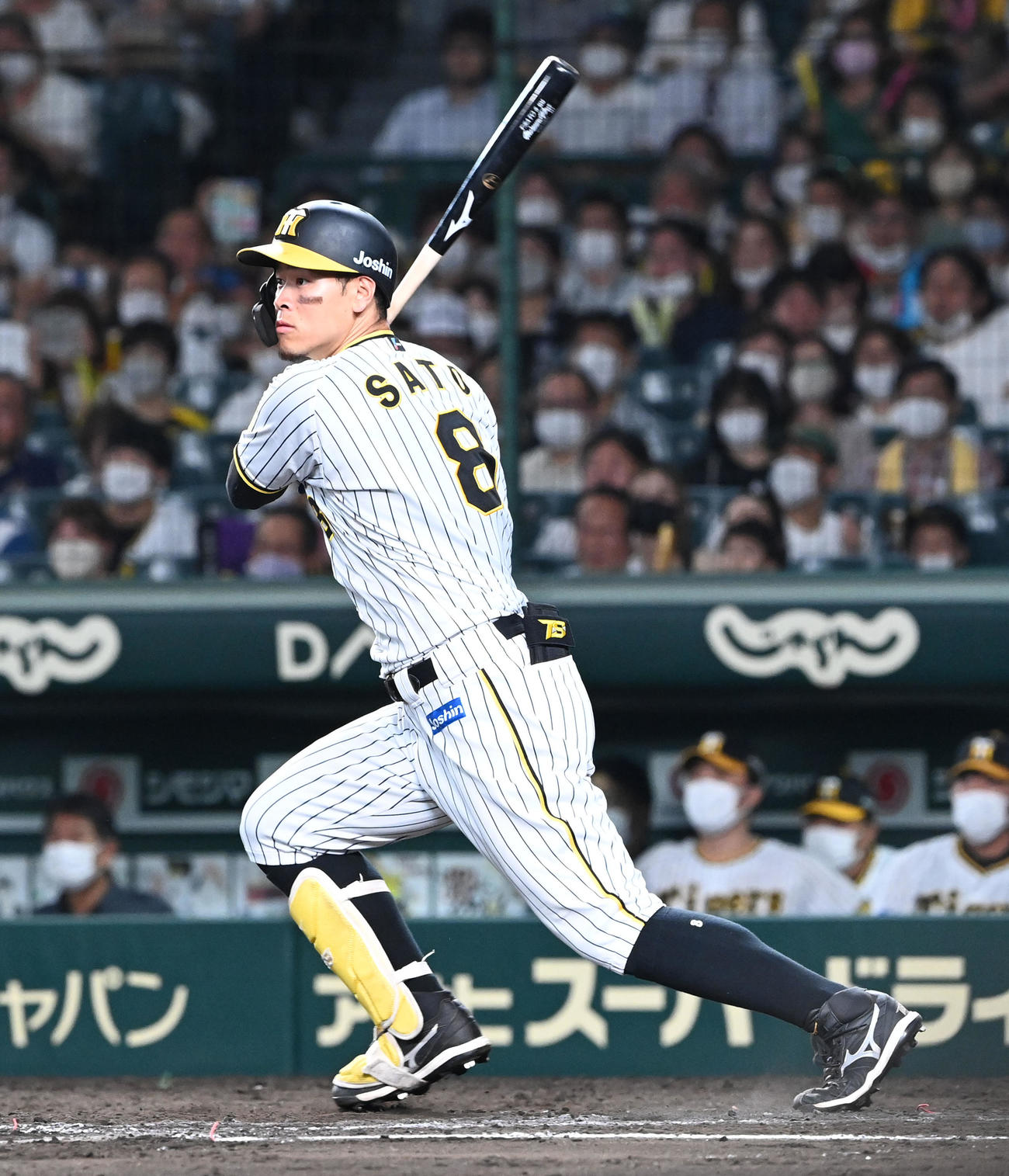 佐藤輝明（2022年6月24日撮影）