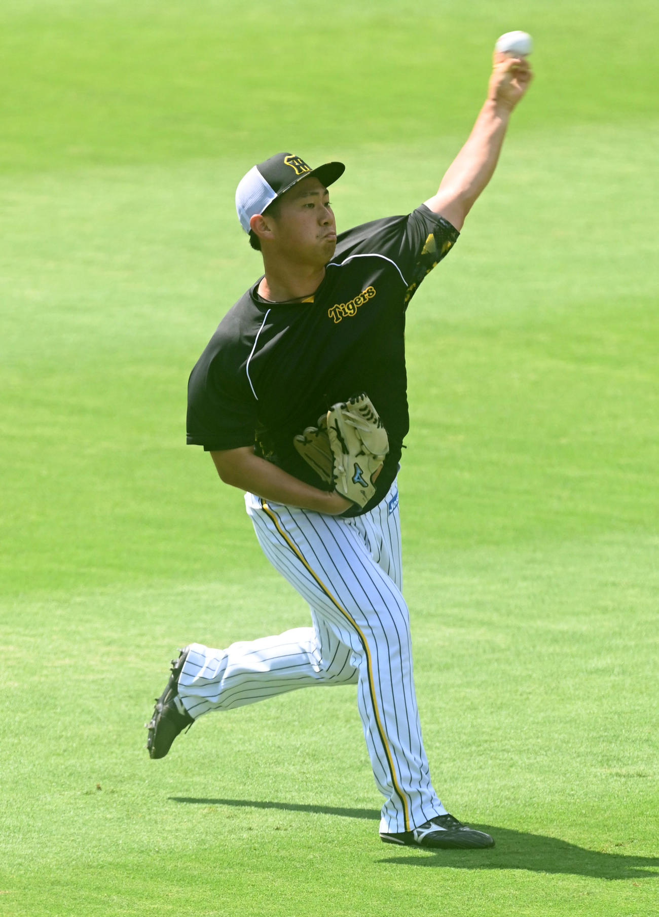 阪神対広島　キャッチボールを行う桐敷（撮影・前岡正明）