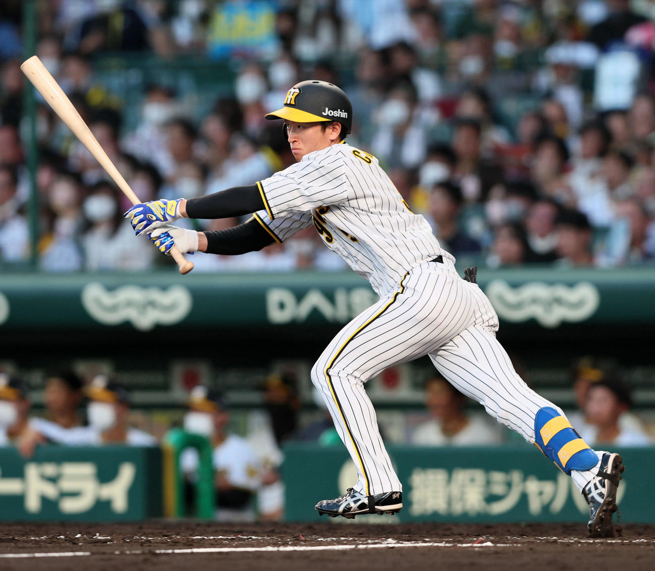 阪神対広島　4回裏阪神2死、球団タイ記録の30試合連続安打となる中前打を放つ近本（撮影・加藤哉）