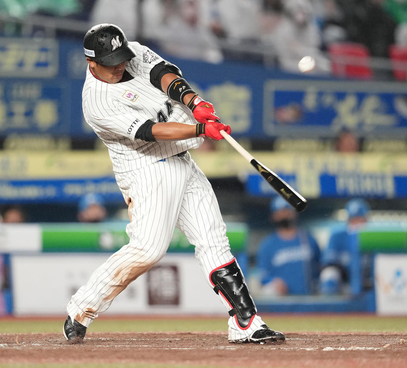ロッテ対日本ハム　4回裏ロッテ無死二、三塁、右犠飛を放つ井上（撮影・鈴木みどり）