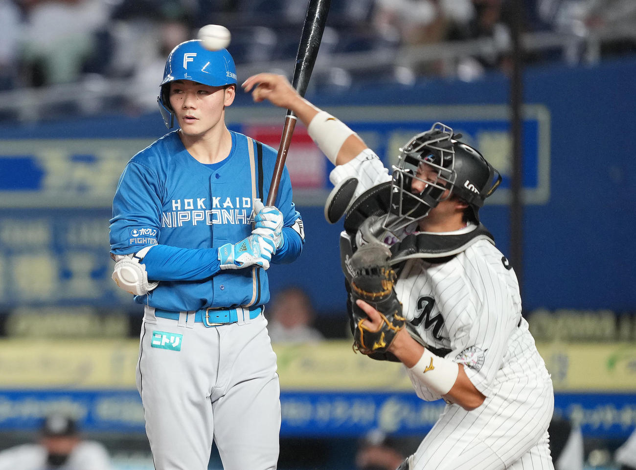 4回表日本ハム2死一、三塁、打者清宮の時、二塁に送球し、一塁走者石井の二塁盗塁を阻止するロッテ佐藤都（撮影・菅敏）