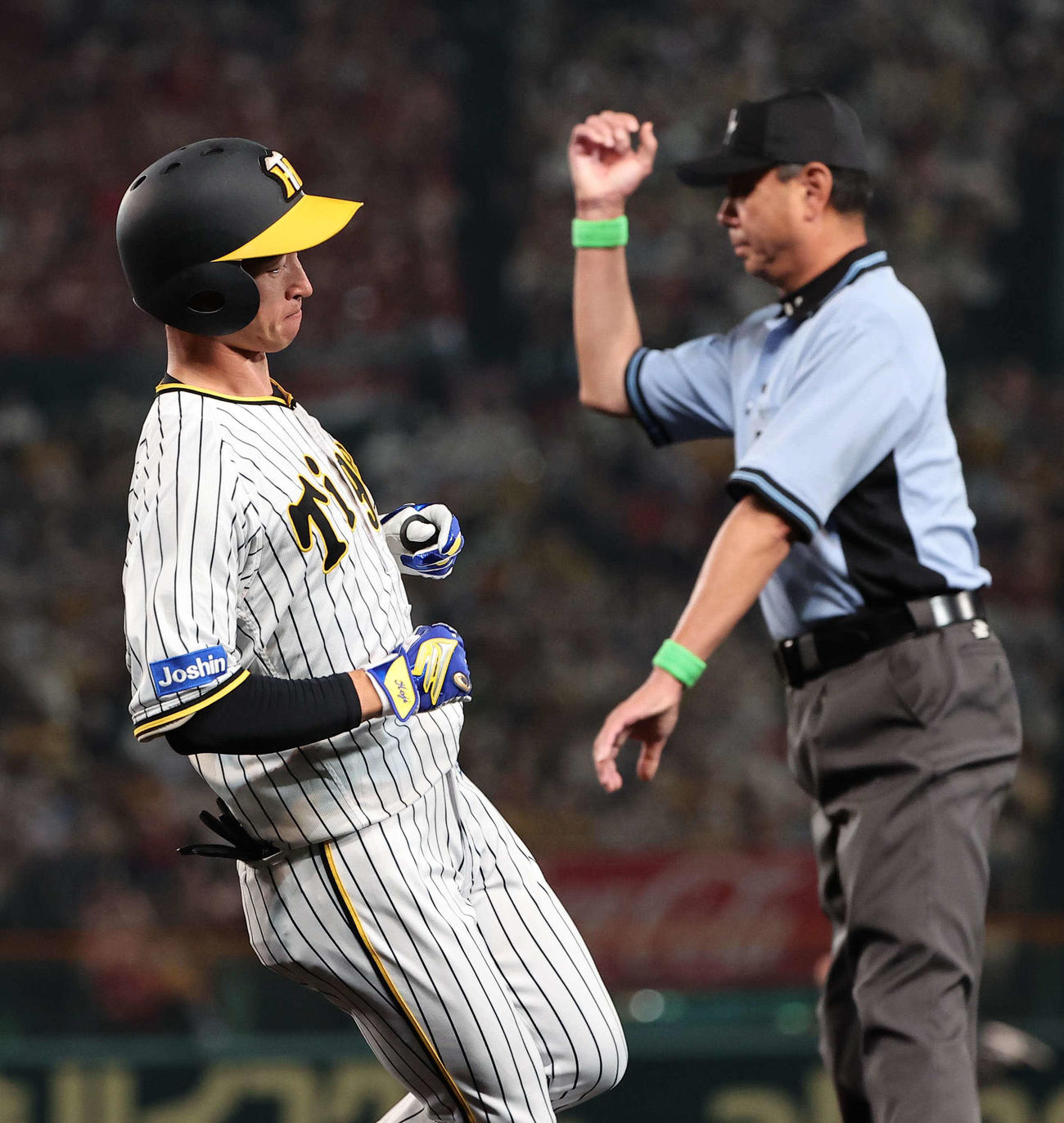 阪神対広島　9回裏阪神1死、近本は二ゴロに倒れ連続試合安打は30でストップした（撮影・上田博志）