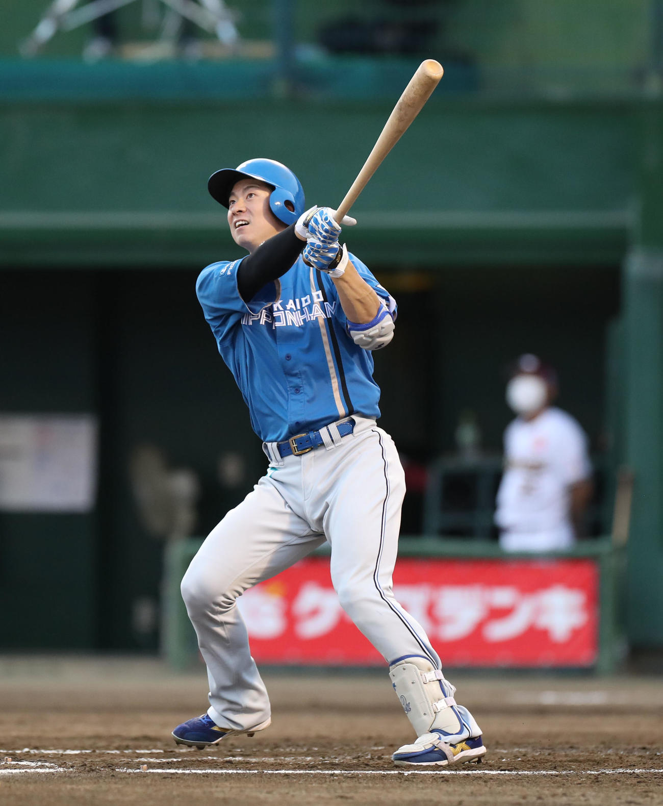 日本ハム松本剛（6月21日撮影）