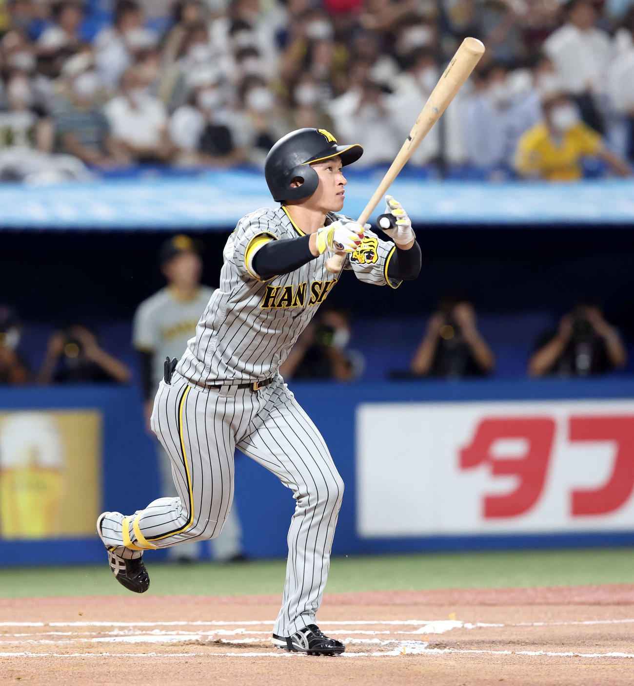 ヤクルト対阪神　6回表阪神1死一塁、近本は2点本塁打を放つ（撮影・浅見桂子）