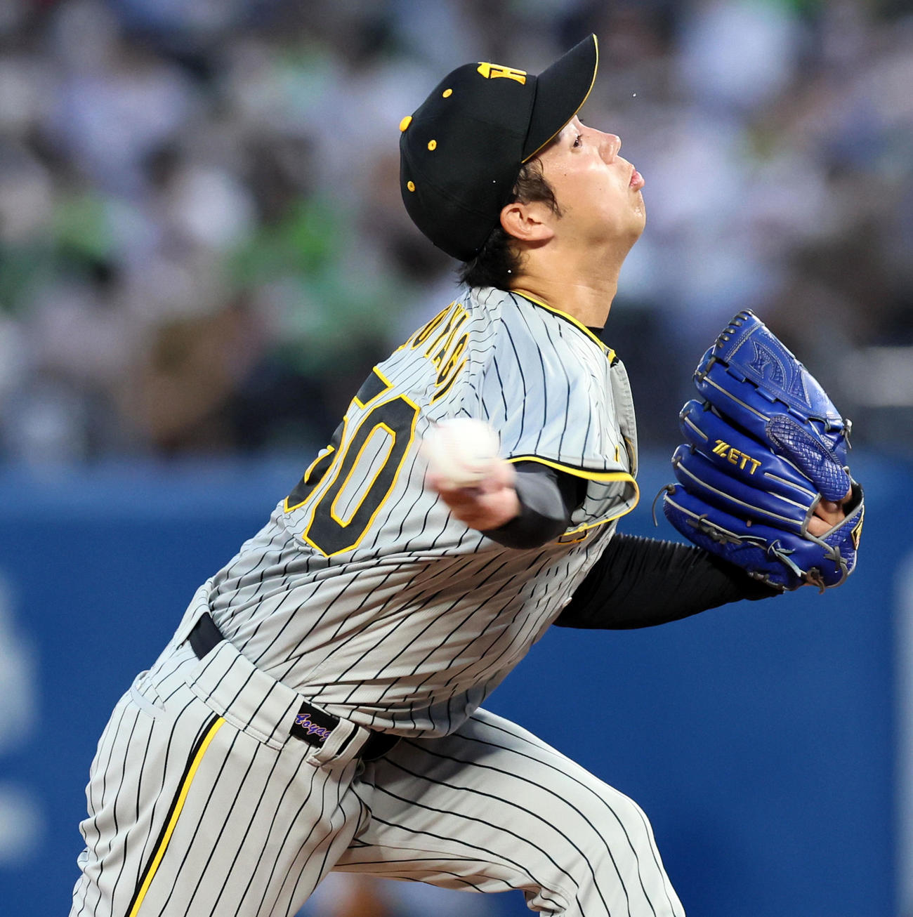 ヤクルト対阪神　ヤクルト戦に先発する青柳（撮影・加藤哉）