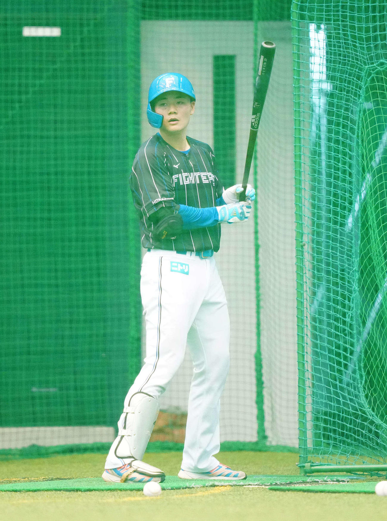 打撃練習に臨む日本ハム清宮（撮影・江口和貴）