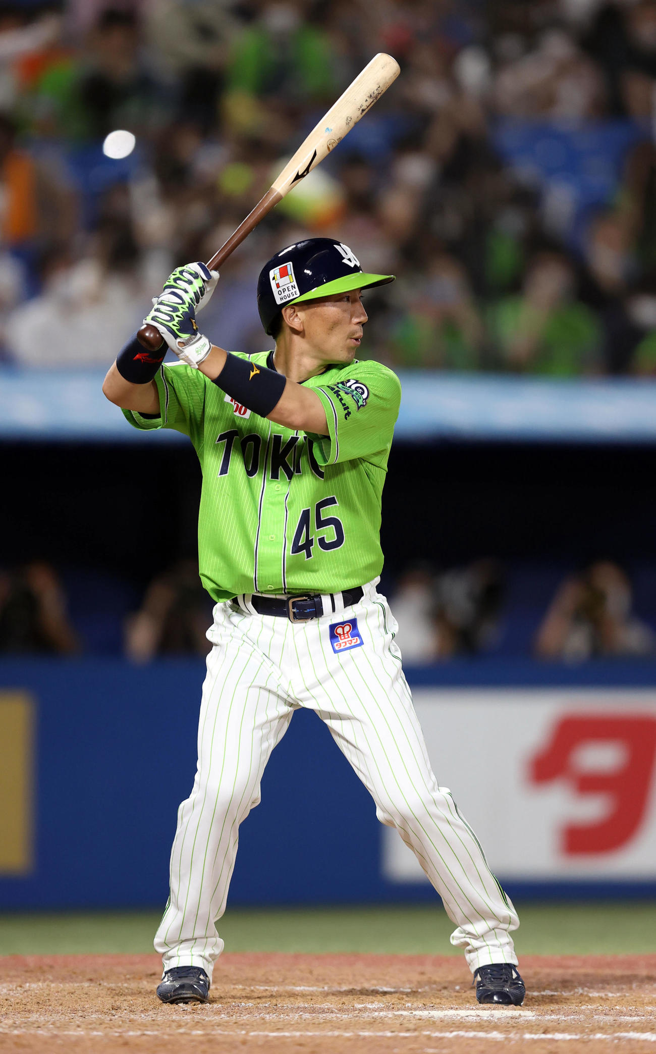 ヤクルト嶋基宏（2022年6月24日撮影）