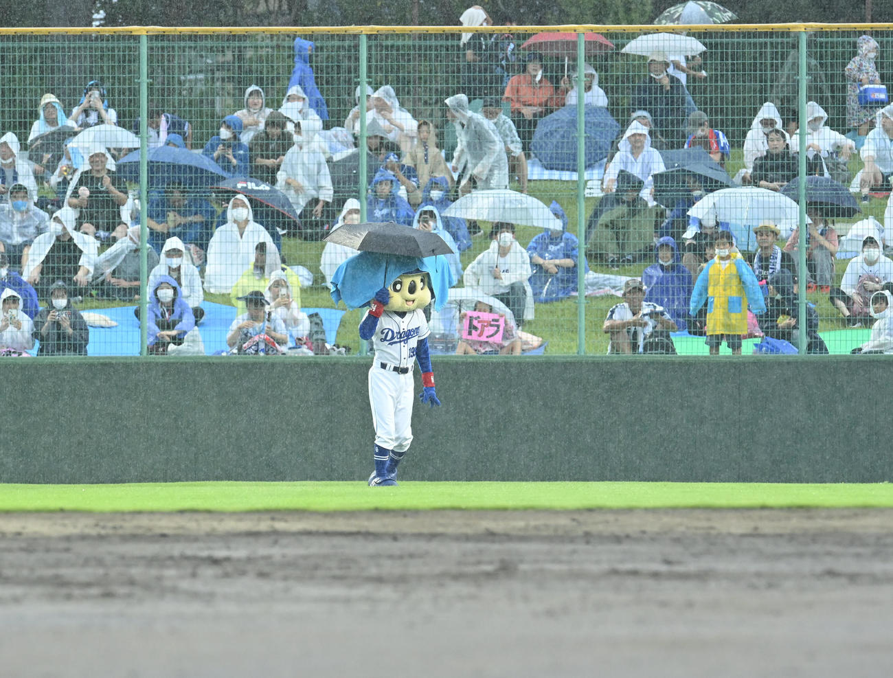 中日対ヤクルト　傘を差しながら球場を歩くドアラ（撮影・森本幸一）