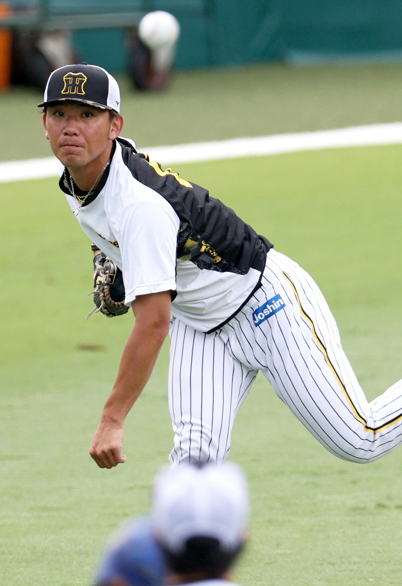 キャッチボールで汗を流す阪神伊藤将（撮影・上山淳一）