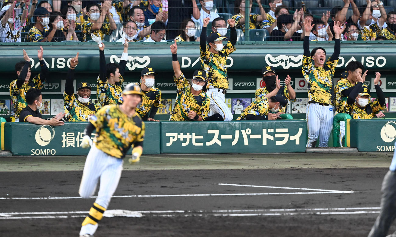 阪神対中日　2回裏阪神1死二塁、北條の逆転2点本塁打に歓喜する阪神ナイン（撮影・前岡正明）